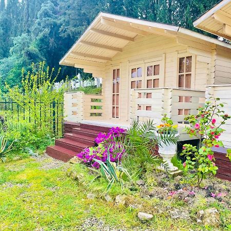 Vacation Home Apsar New Athos Exterior foto