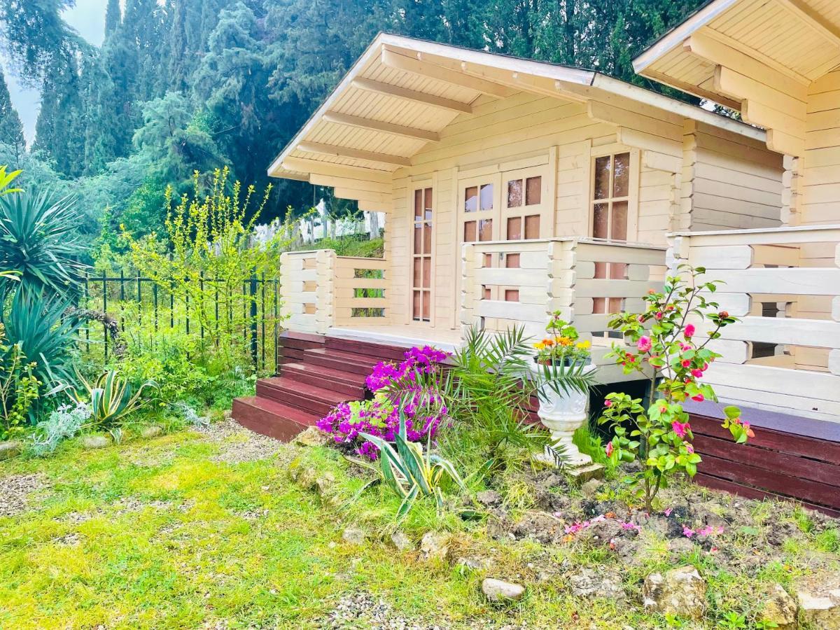 Vacation Home Apsar New Athos Exterior foto